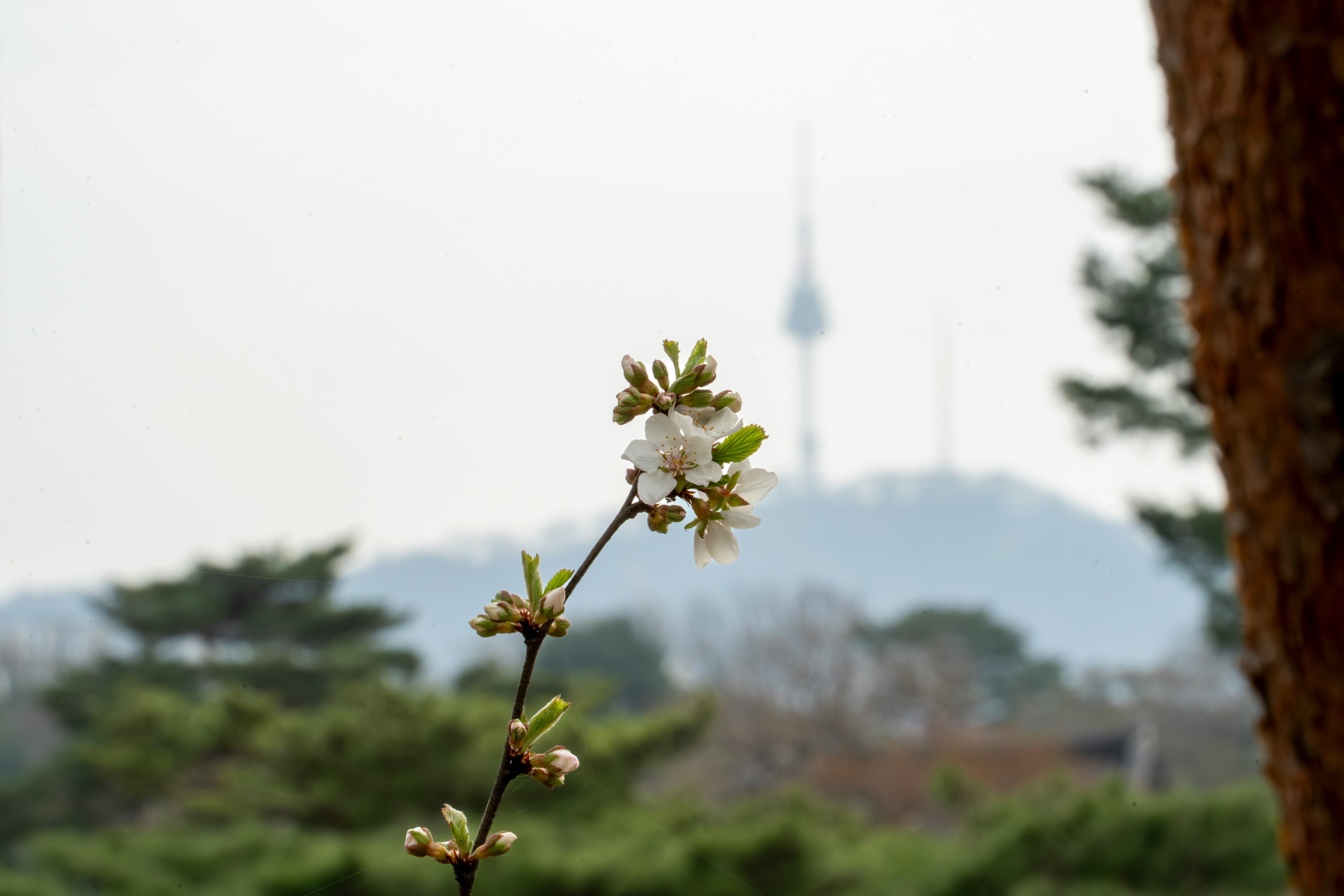 What to Wear in Seoul: Season-by-Season Packing Guide (2026)